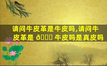 请问牛皮革是牛皮吗,请问牛皮革是 🐎 牛皮吗是真皮吗